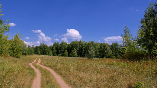 744061 (a): :2200x1240